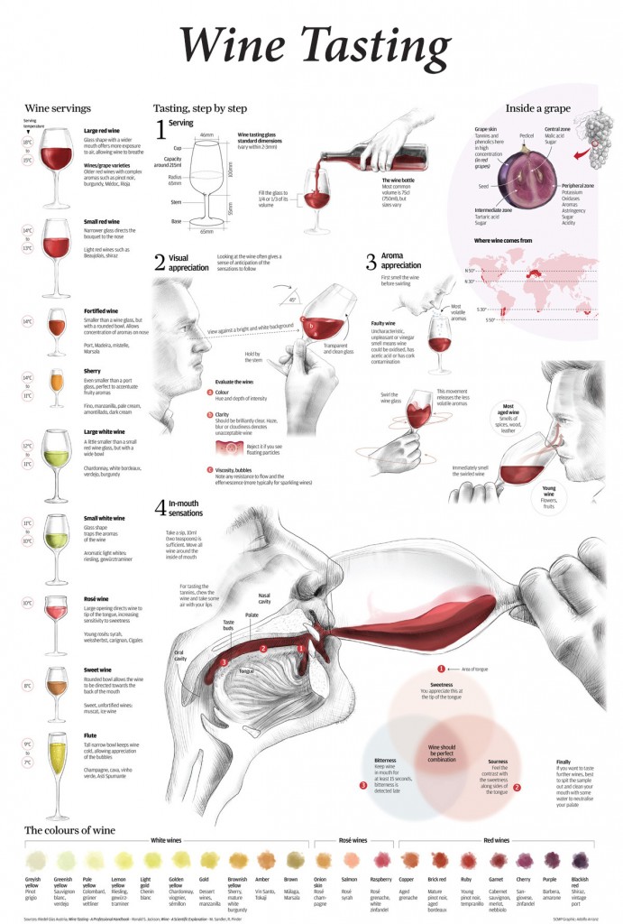 Wine tasting infograph